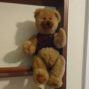 11" Teddy Bear